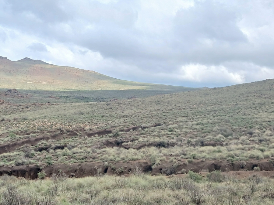 0 Bedroom Property for Sale in Richmond Rural Northern Cape